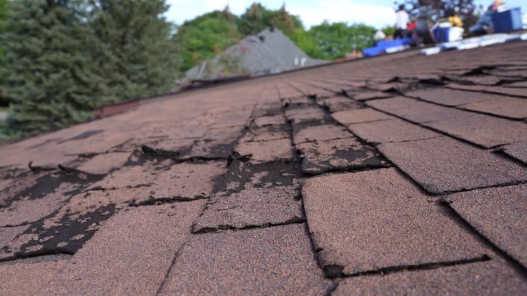 Best Metal Roofing Installation  in Cheswold, DE