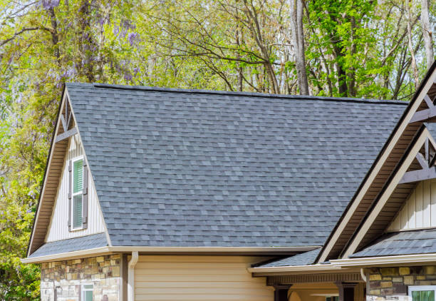 Best Skylight Installation and Repair  in Cheswold, DE